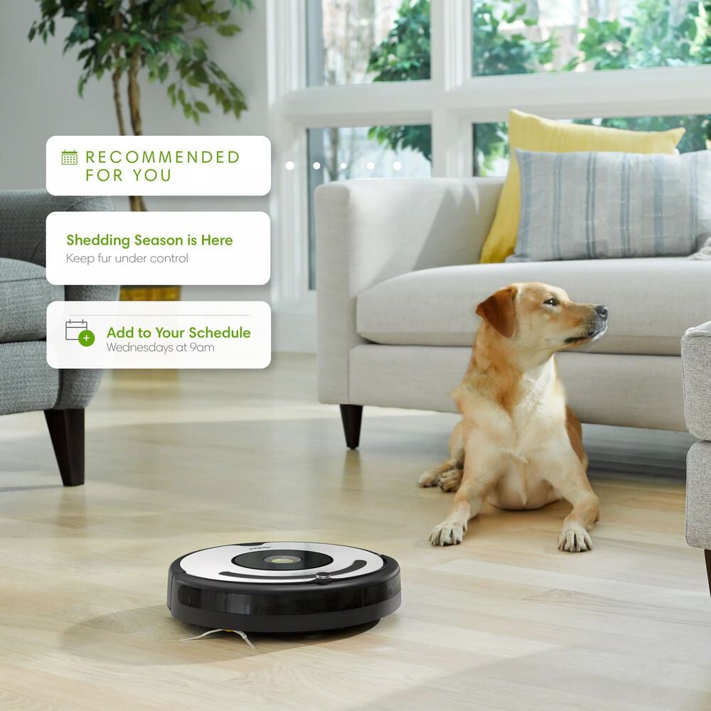 iRobot® Roomba® 676 Robot Vacuum-Wi-Fi Connectivity, Personalized Cleaning  Recommendations, Works with Google, Good for Pet Hair, Carpets, Hard