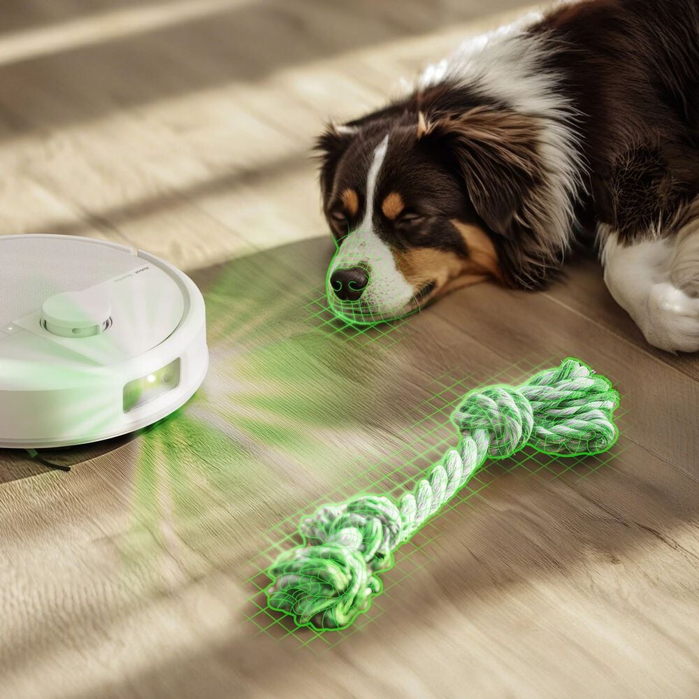 Avoids their favorite toys