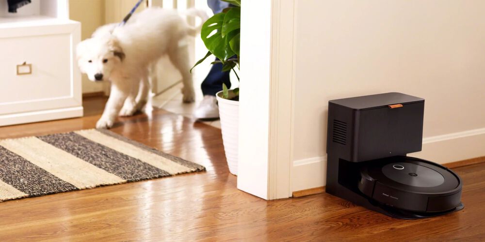 A j7+ charging while a dog is active in the house